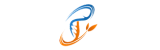 Icon primary